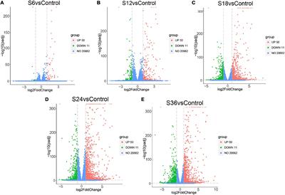 Transcriptome Analyses of Senecavirus A-Infected PK-15 Cells: RIG-I and IRF7 Are the Important Factors in Inducing Type III Interferons